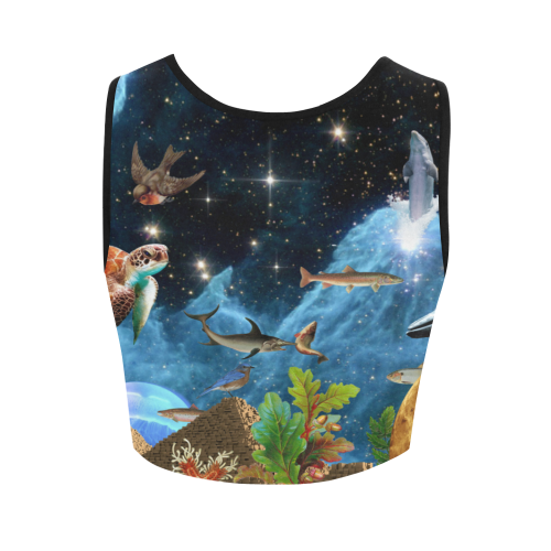 Heaven and Earth Women's Crop Top (Model T42)