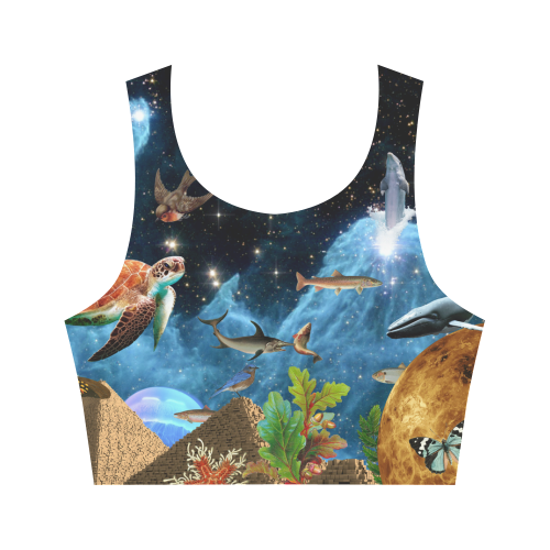 Heaven and Earth Women's Crop Top (Model T42)