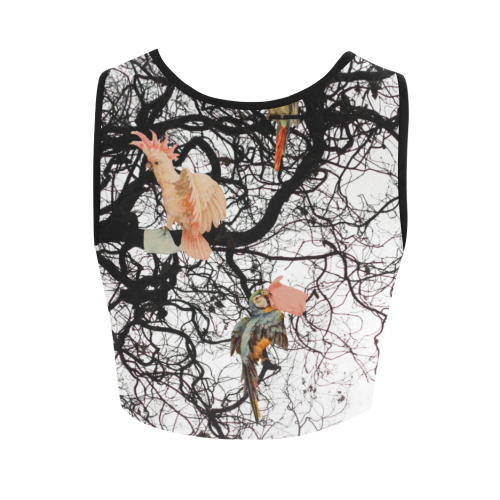 The messengers Women's Crop Top (Model T42)