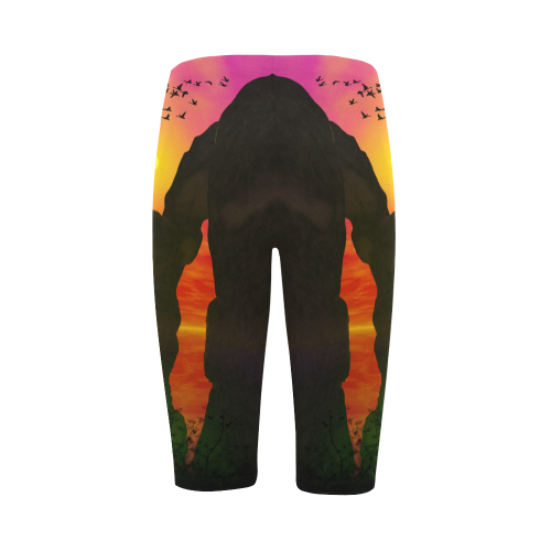 Wonderful sunset over the sea Hestia Cropped Leggings (Model L03)