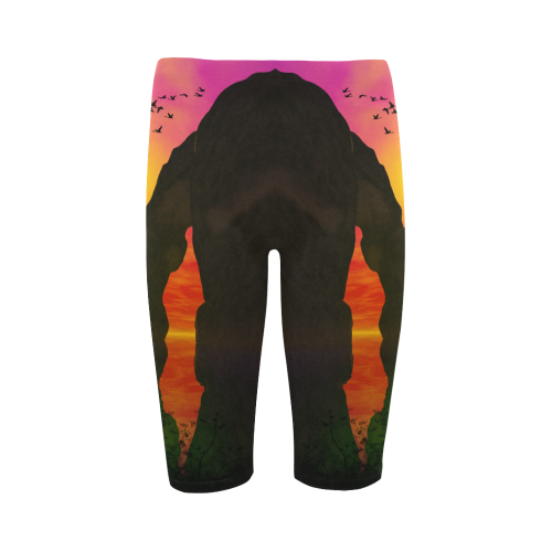 Wonderful sunset over the sea Hestia Cropped Leggings (Model L03)