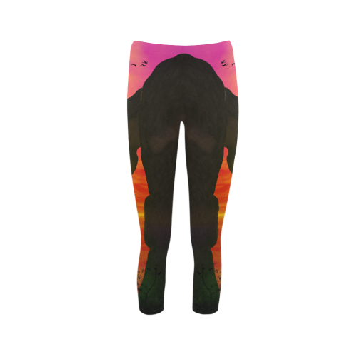 Wonderful sunset over the sea Capri Legging (Model L02)