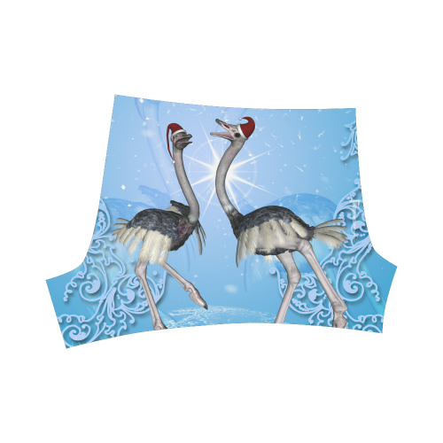 Dancing for christmas, cute ostrichs Briseis Skinny Shorts (Model L04)