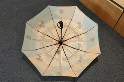 Auto-Foldable Umbrella (Model U04)