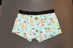 Men's Boxer Briefs with Fly (Model L49)