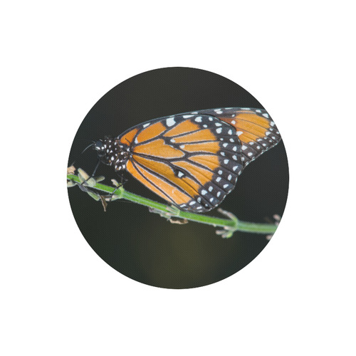 Monarch Butterfly Round Mousepad