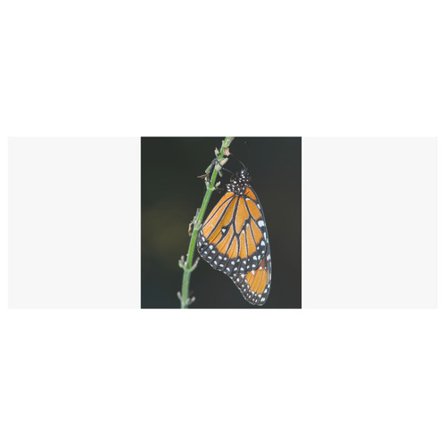 Monarch Butterfly White Mug(11OZ)