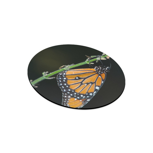 Monarch Butterfly Round Mousepad