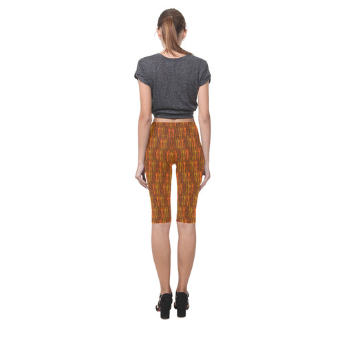 Abstract Strands of Fall Colors - Brown, Orange Hestia Cropped Leggings (Model L03)