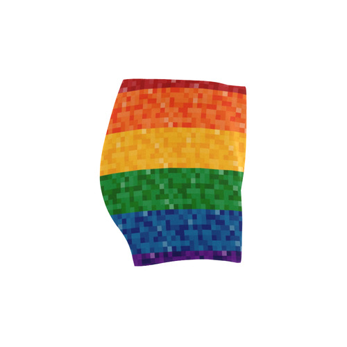 Rainbow Pixel Flag Briseis Skinny Shorts (Model L04)