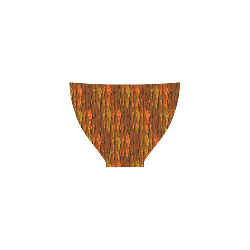 Abstract Strands of Fall Colors - Brown, Orange Custom Bikini Swimsuit