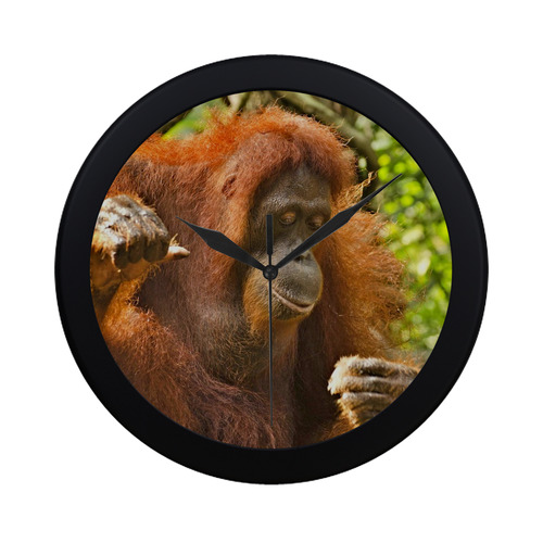 animal art studio 18516 Orang