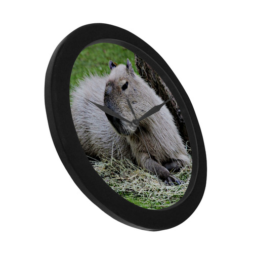 capybara Circular Plastic Wall clock
