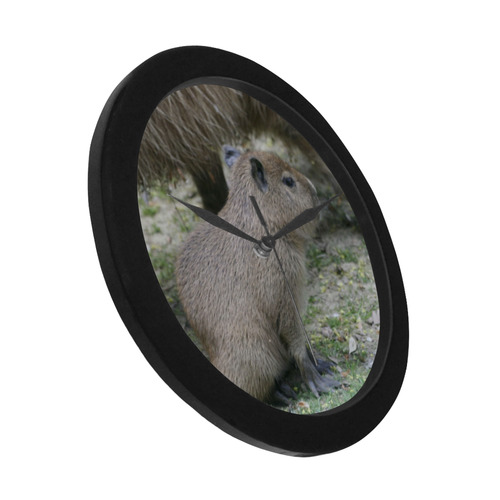 capybara baby Circular Plastic Wall clock