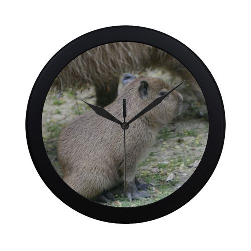 capybara baby Circular Plastic Wall clock