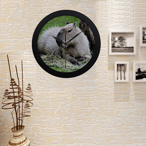 capybara Circular Plastic Wall clock