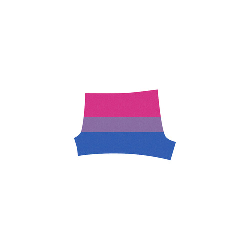 Bisexual Pride Flag Briseis Skinny Shorts (Model L04)