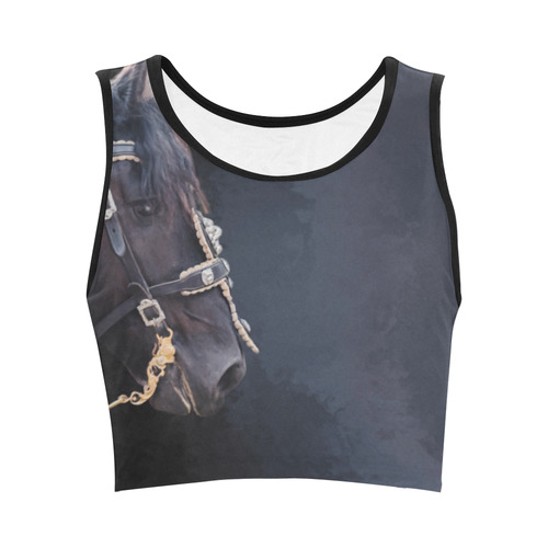 A beautiful painting black friesian horse portrait Women's Crop Top (Model T42)