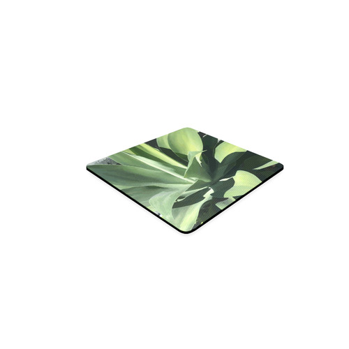 Green Succulent Desert Nature Art Square Coaster