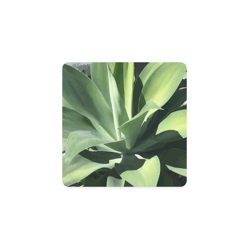 Green Succulent Desert Nature Art Square Coaster