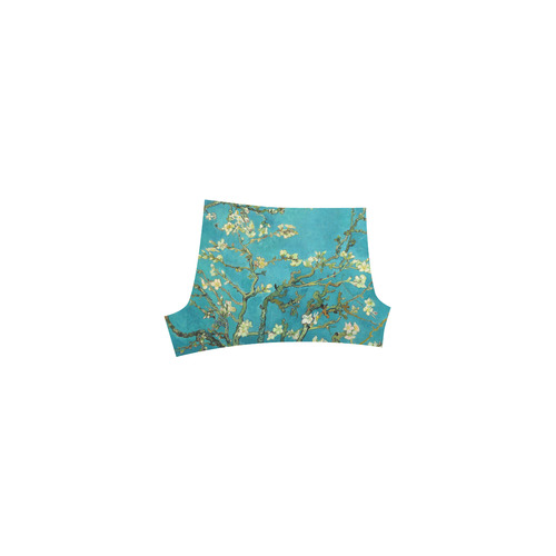 Vincent Van Gogh Blossoming Almond Tree Floral Art Briseis Skinny Shorts (Model L04)