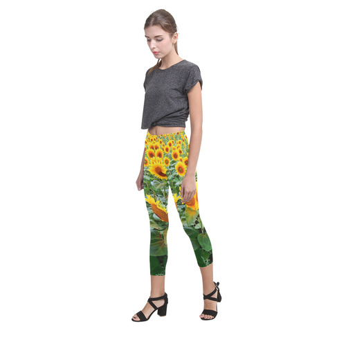 Sunflower Field Capri Legging (Model L02)