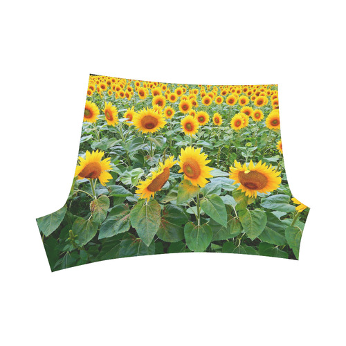 Sunflower Field Briseis Skinny Shorts (Model L04)