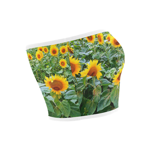 Sunflower Field Bandeau Top