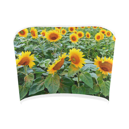 Sunflower Field Bandeau Top