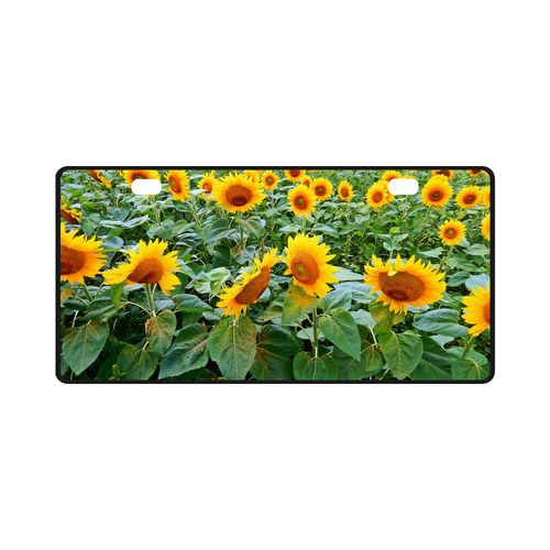 Sunflower Field License Plate