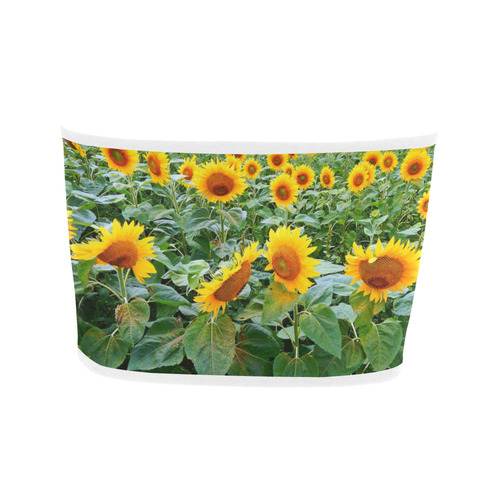 Sunflower Field Bandeau Top