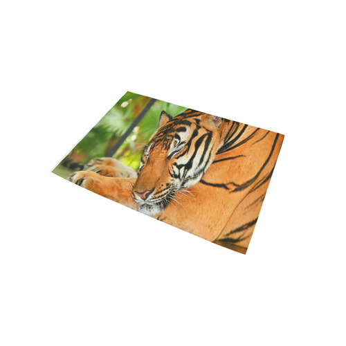 Sleeping Tiger Area Rug 5'x3'3''