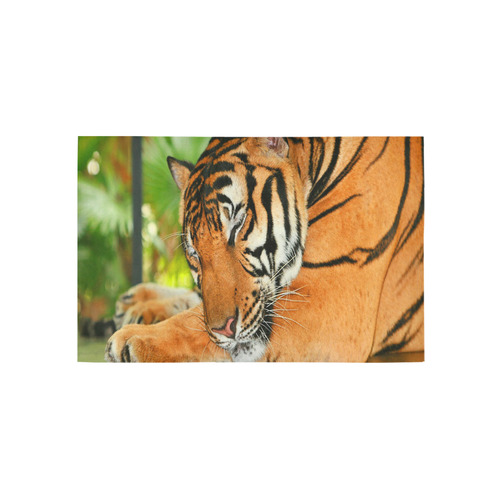 Sleeping Tiger Area Rug 5'x3'3''