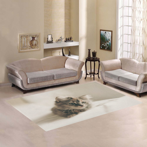 Lovely Sweet Little Cat Kitten Kitty Pet