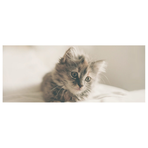 Lovely Sweet Little Cat Kitten Kitty Pet Custom Morphing Mug