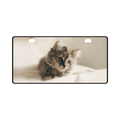 Lovely Sweet Little Cat Kitten Kitty Pet License Plate