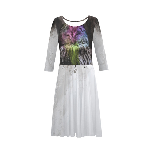 Abstract colorful owl Elbow Sleeve Ice Skater Dress (D20)