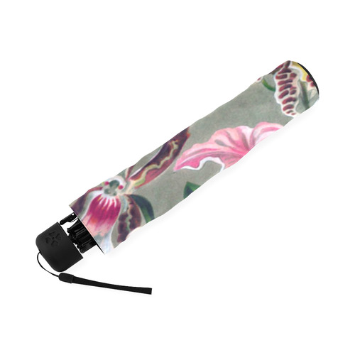 Orchids Ernst Haeckel Flower Nature Fine Art Foldable Umbrella (Model U01)