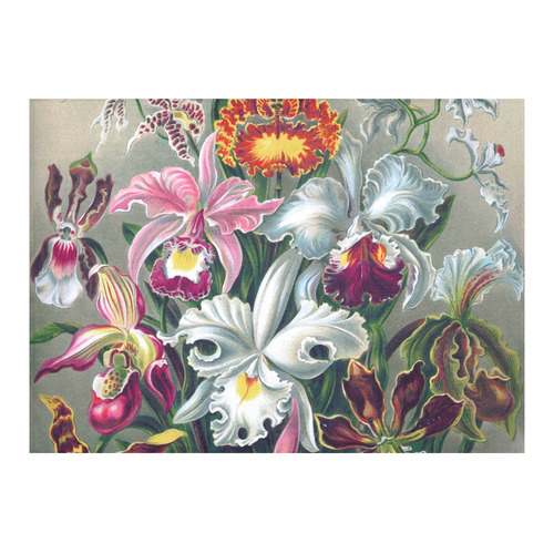 Orchid Flowers Ernst Haeckel Floral Nature Art Cotton Linen Tablecloth 60"x 84"