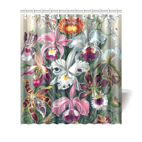 Orchids Ernst Haeckel Flower Nature Fine Art Shower Curtain 66"x72"