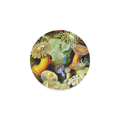 Sea Anemones Ernst Haeckel Fine Art Round Coaster