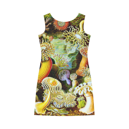 Sea Anemones Ernst Haeckel Fine Art Round Collar Dress (D22)