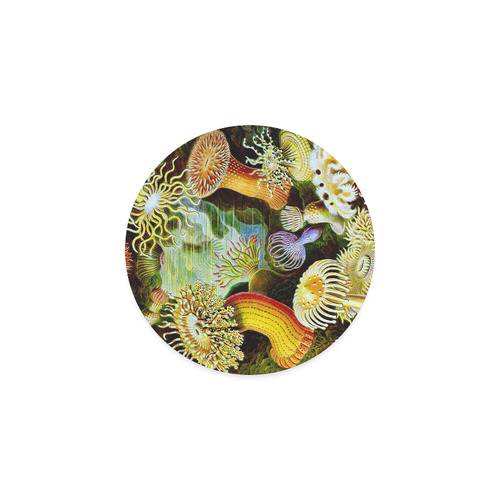 Sea Anemones Ernst Haeckel Fine Art Round Coaster