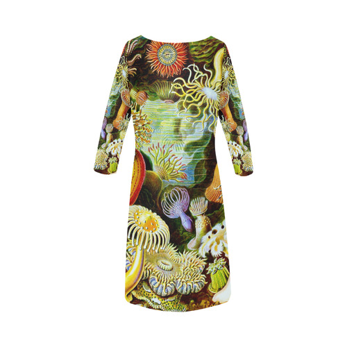 Sea Anemones Ernst Haeckel Fine Art Round Collar Dress (D22)