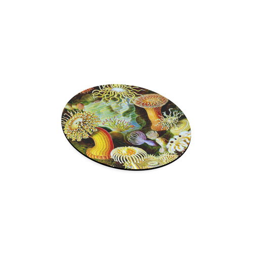 Sea Anemones Ernst Haeckel Fine Art Round Coaster