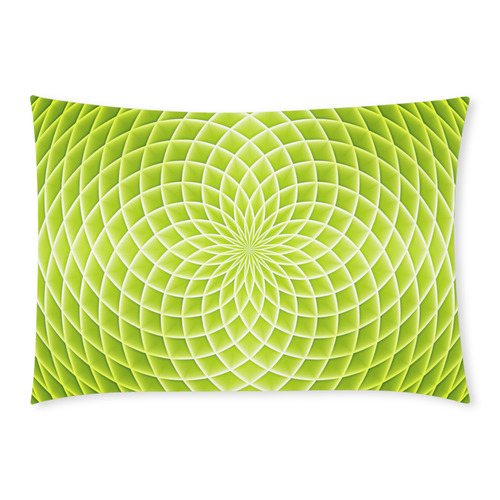 Swirl20160907 Custom Rectangle Pillow Case 20x30 (One Side)