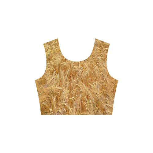Golden Wheat Elbow Sleeve Ice Skater Dress (D20)