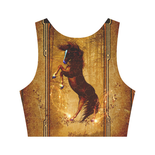 Awesome horse, vintage background Women's Crop Top (Model T42)