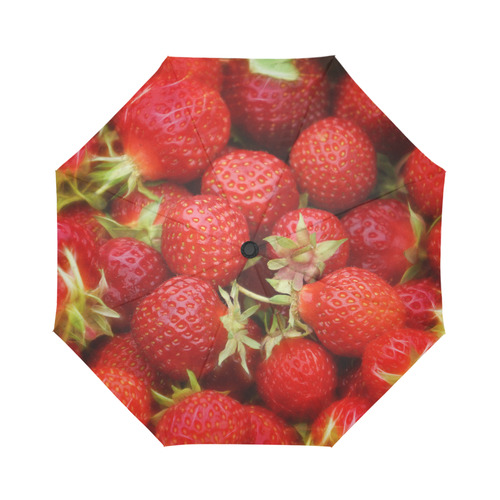 Strawberry Hills Auto-Foldable Umbrella (Model U04)