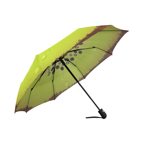 kiwi Auto-Foldable Umbrella (Model U04)